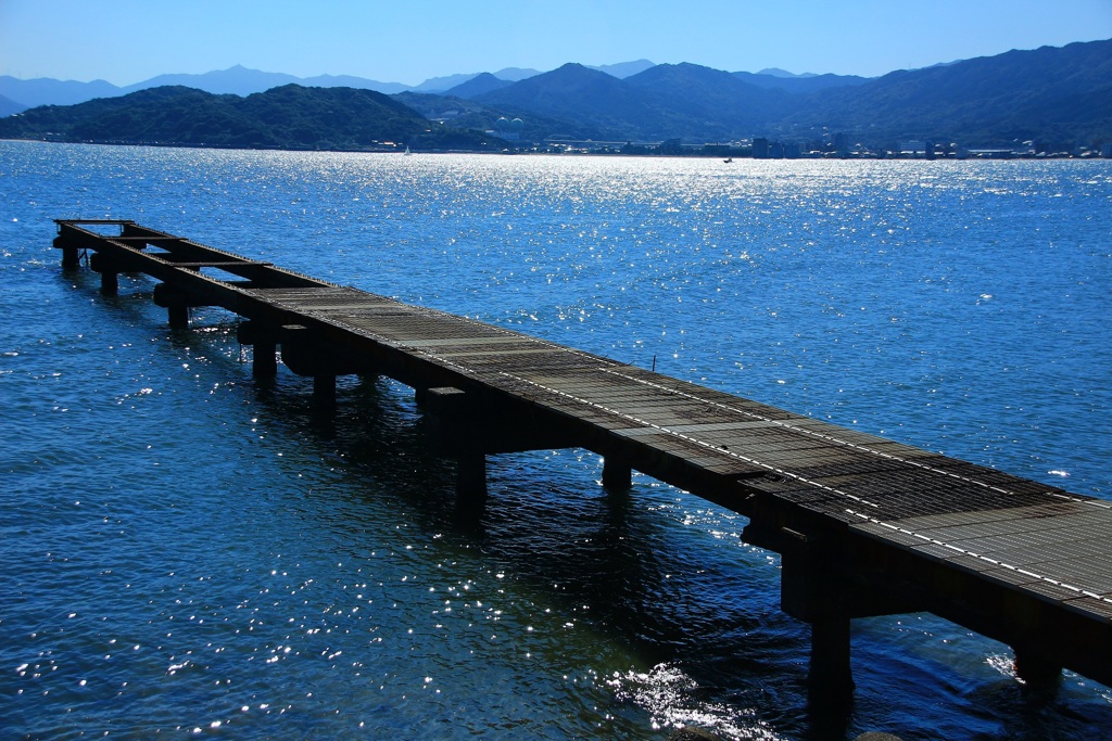 輝きの海