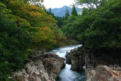 渓流のある風景