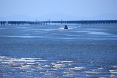 海苔の産地　≪有明海≫