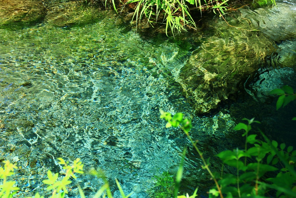 水のある風景 25【清流】