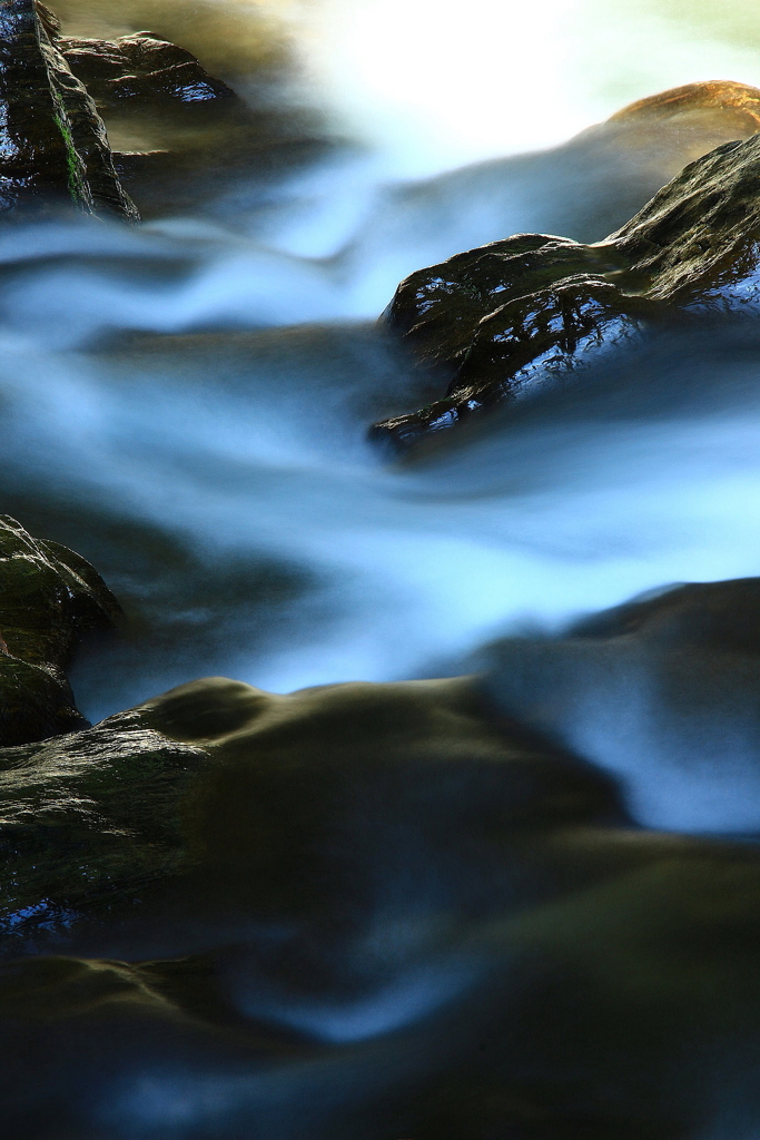 水のある風景 67