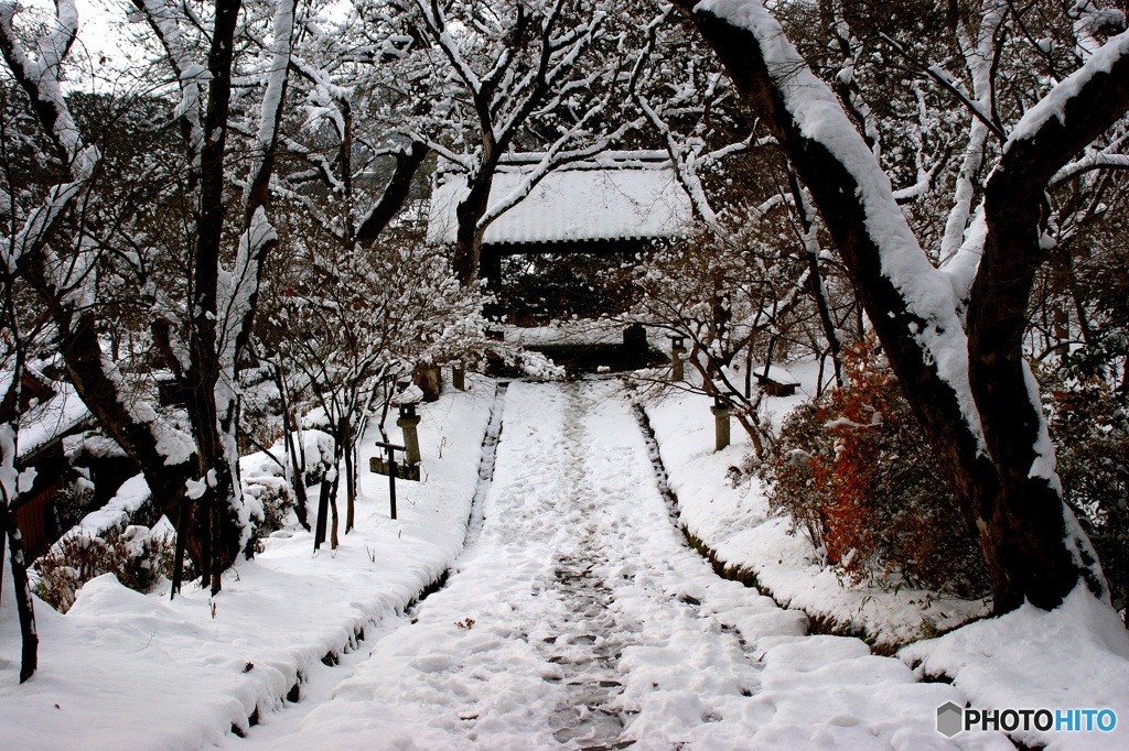 秋月の黒門　　雪景色