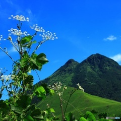 由布岳