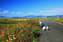 花摘み