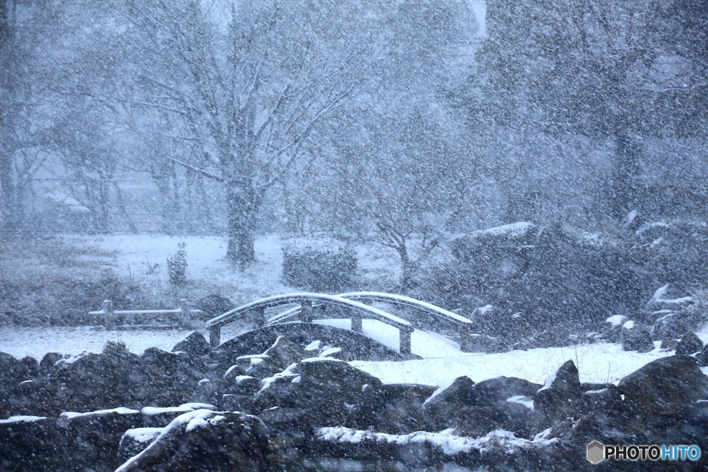 雪日の光景