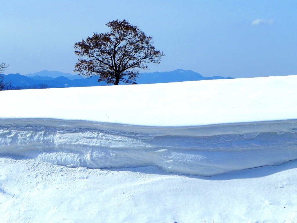 雪の層