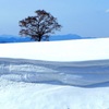 雪の層