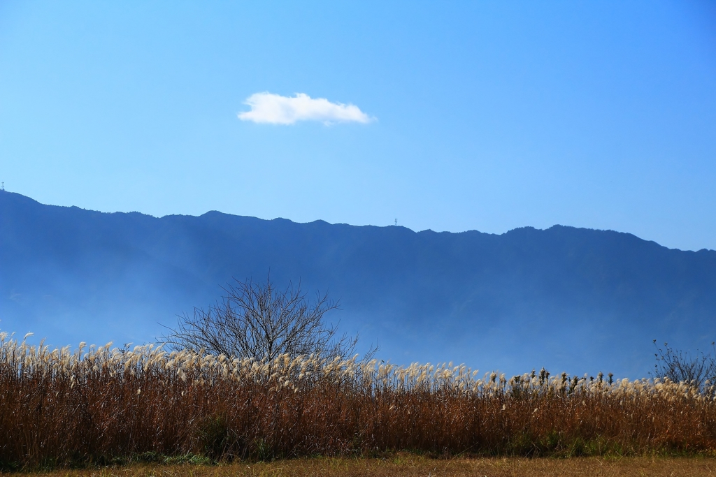 冬日和 　さりげない風景