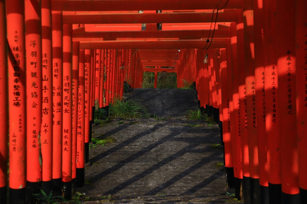 赤の参道