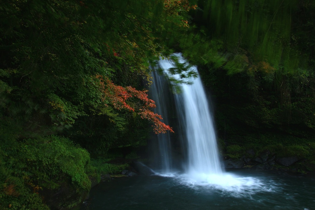 静寂 　マー坊秋の定番場所