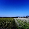 秋の空