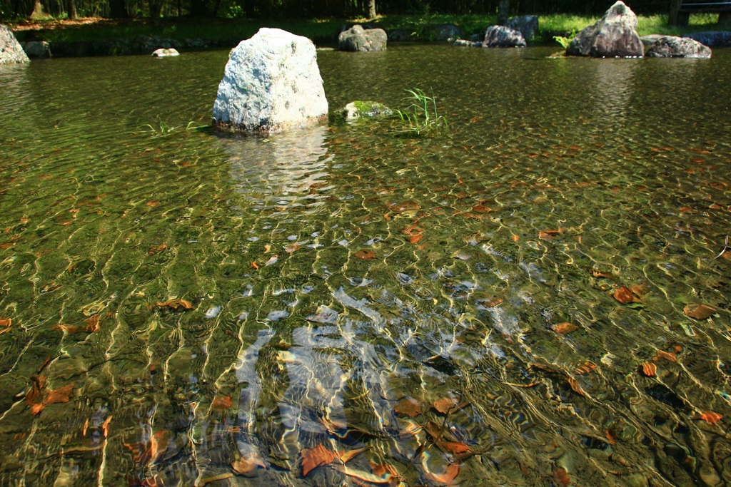 ・・水紋・・
