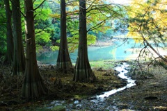 水のある風景10　【湖畔】