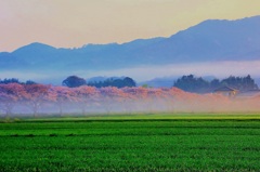 幻想的風景