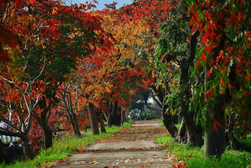 人生の旅路