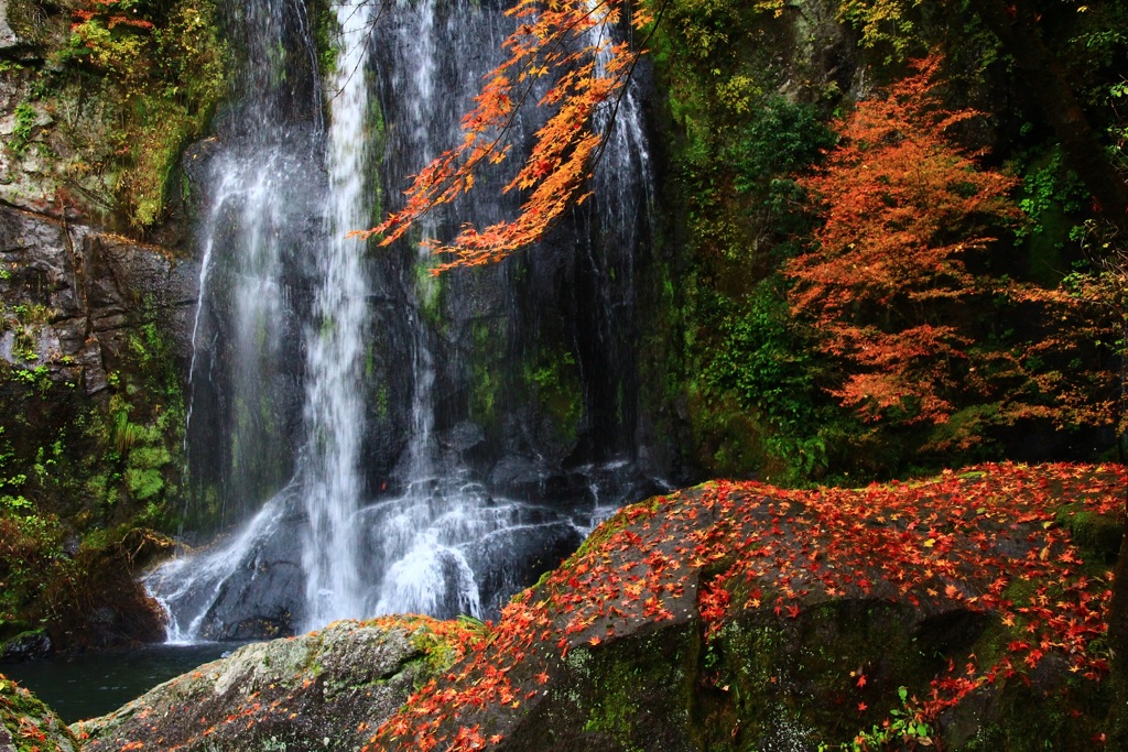 紅葉の岩