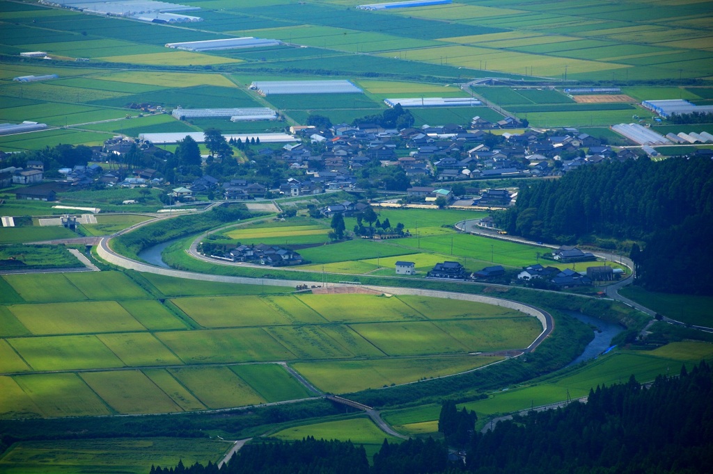 大観峰から見下ろした田畑風景