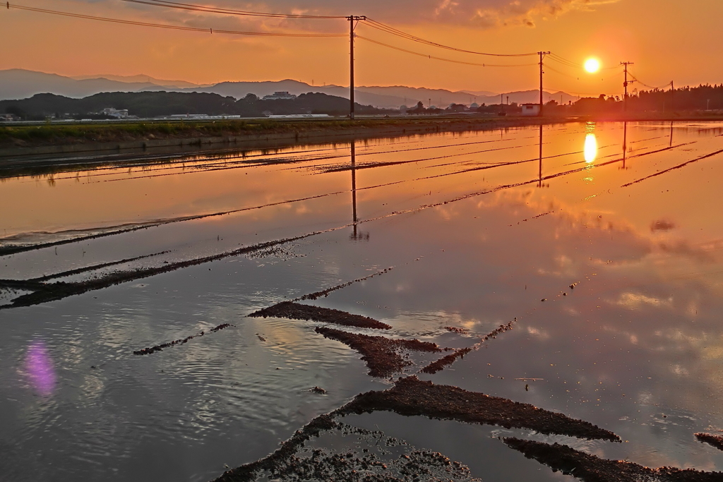 夕陽【田植え待ち】