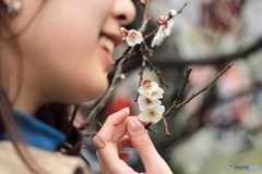 春の指先