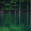 ・自然美・