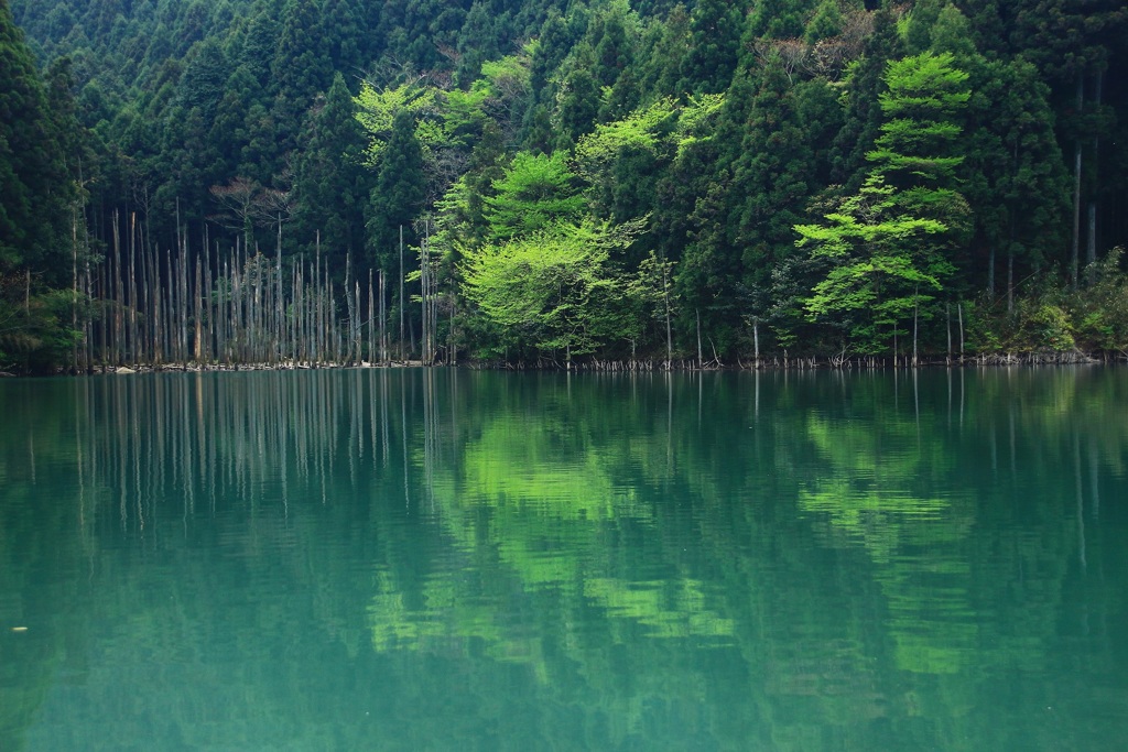 静寂の時