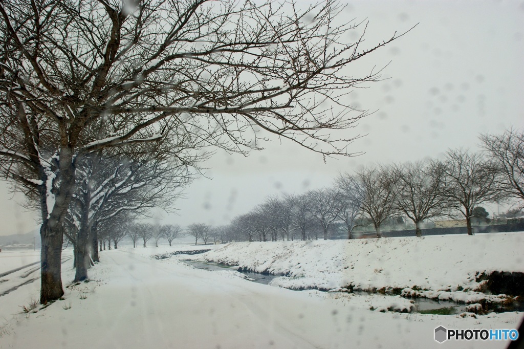 雪日の小川