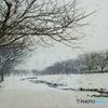 雪日の小川