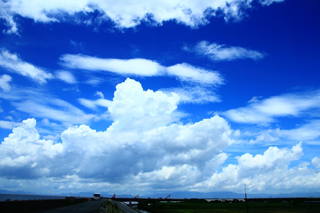 ・・・　夏　・・・