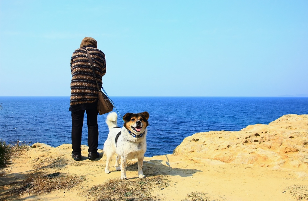 愛犬　ごん太