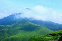 穏やかな光景