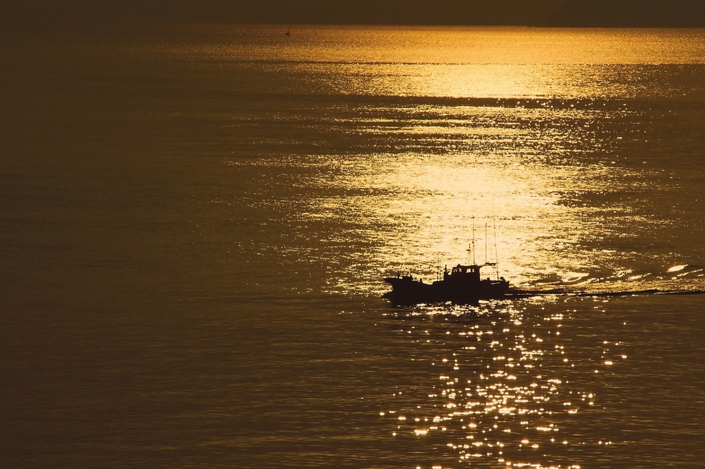 光る海