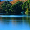 水のある風景 9 【湖畔】