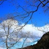 ・・冬空・・