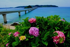 水のある風景 海3  【角島大橋】