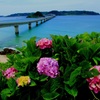 水のある風景 海3  【角島大橋】