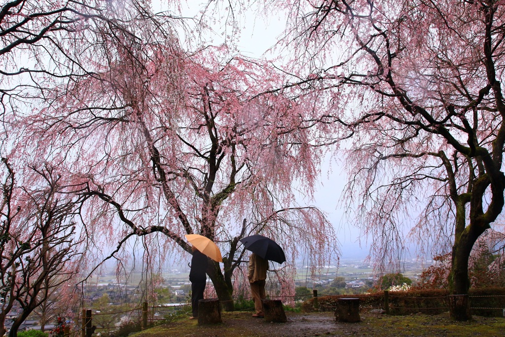 雨の日は・・・