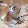見つめる先は・・・