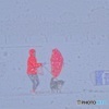 吹雪く