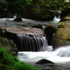 谷川の流れ
