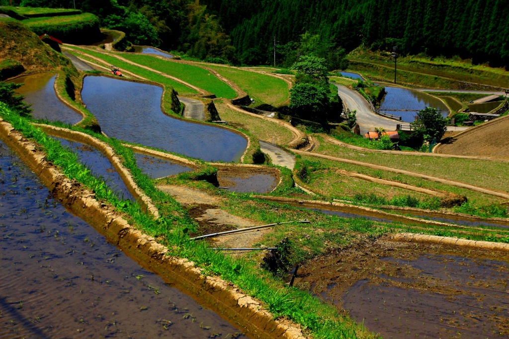 里山 田植え間近