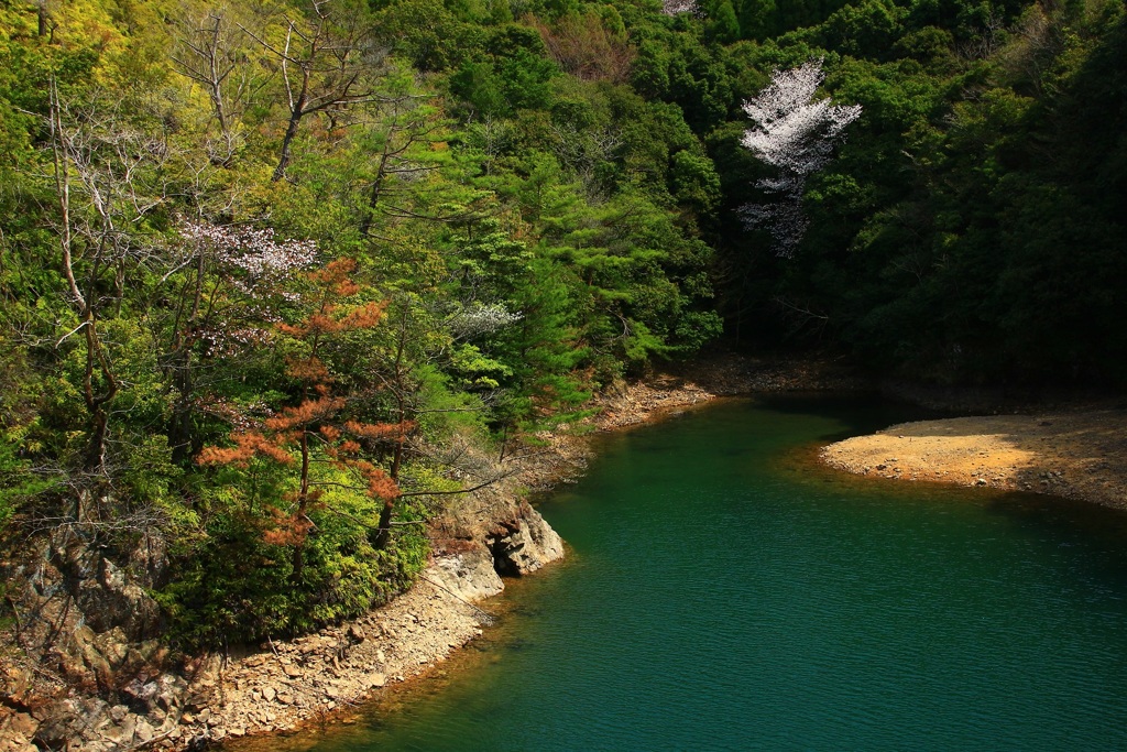 佐賀県有田町　有田ダム