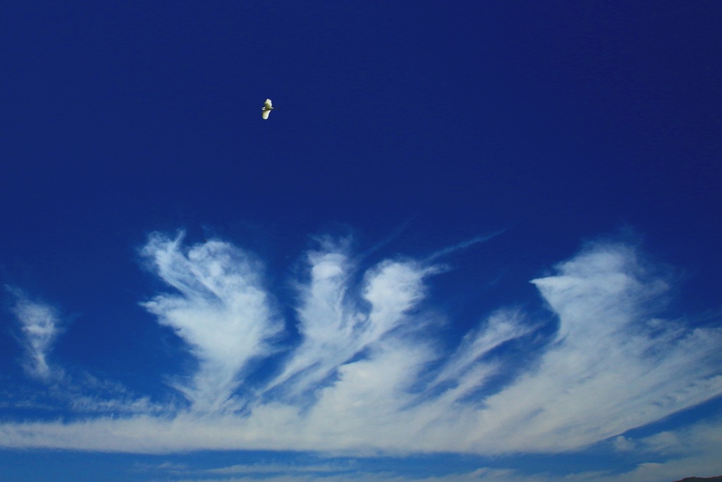 今日の雲