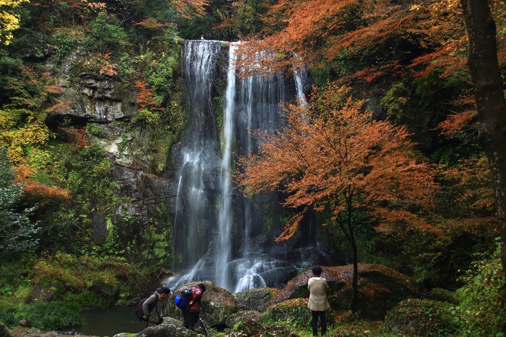 紅葉風景
