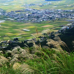 大観峰より望む