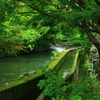 川のある風景