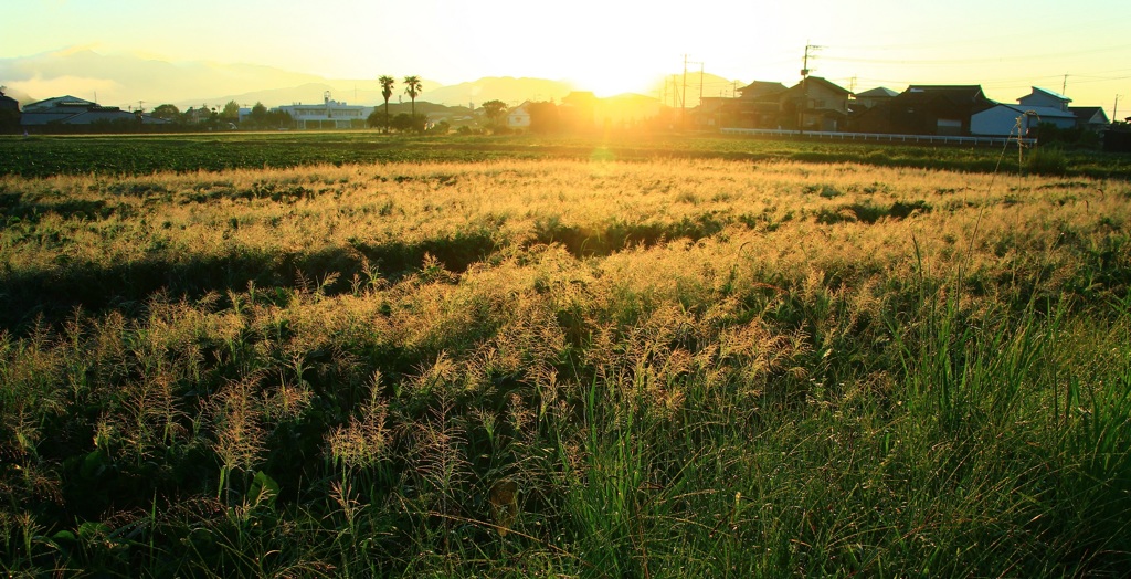 ‥日の出・・
