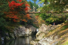 　吊り橋　