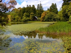 三角屋根が見える風景