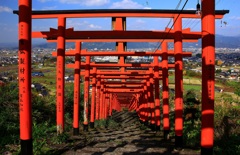 赤い鳥居