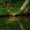 水のある風景 20　【川】 